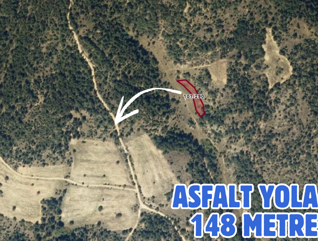 KÜTAHYA EMET AYDINCIK 1.148M² TARLAMIZ SATILIKTIR - KÜTAHYA EMET fotoğraf 2